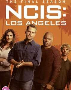 NCIS Los Angeles - Season 14 (DVD)