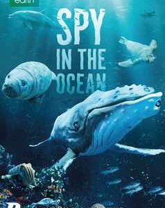 Spy In The Ocean (DVD)