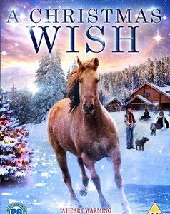 Christmas Wish, A (Brian Krause) (DVD)