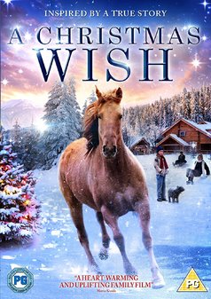 Christmas Wish, A (Brian Krause) (DVD)