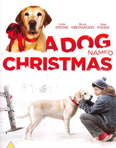 Dog Named Christmas, A (DVD)