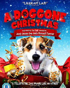 Doggone Christmas, A (DVD)