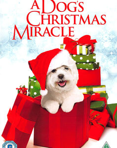 Dogs Christmas Miracle, A (DVD)