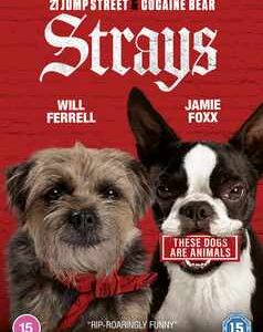 Strays (DVD)