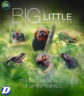 Big Little Journeys - The Complete Mini Series (Blu Ray)
