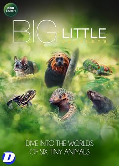 Big Little Journeys - The Complete Mini Series (DVD)