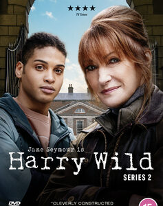 Harry Wild - Series 2 (DVD)