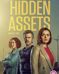 Hidden Assets - Series 2 (DVD)
