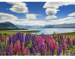 Lake Tekapo (1000 Piece Puzzle)