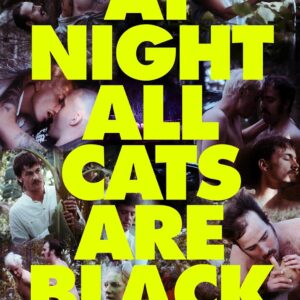 At night all cats are black (DVD)