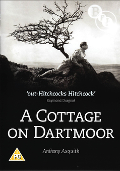 Cottage on Dartmoor, A (DVD)