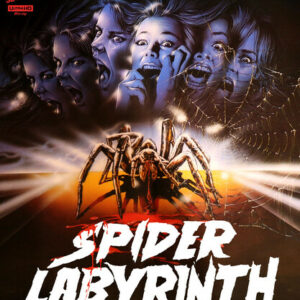 Spider Labyrinth, The (4K Ultra HD)