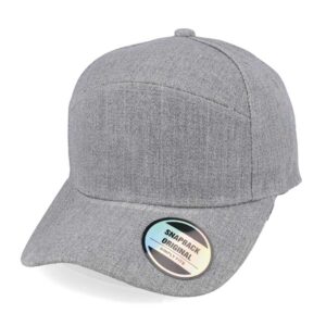 Horizon Curved Peak Snapback - grey (S23601)