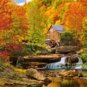 Magical Autumn (1000 Piece Puzzle)