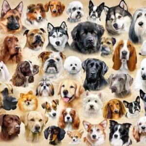 Collage with Dogs (1500 Piece Puzzle)