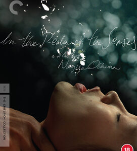 In the Realm of Senses (Blu Ray) - Criterion Collection
