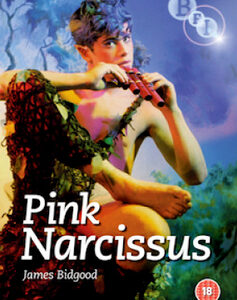 Pink Narcissus (DVD)