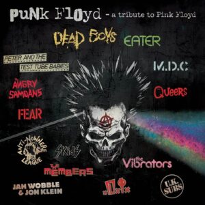 Punk Floyd: A Tribute To Pink Floyd (Various Artists) (CD)