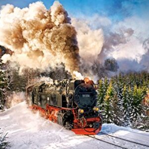 Steam Train (1000 Piece Puzzle)