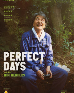 Perfect Days (DVD)