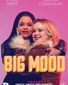 Big Mood - The Complete Mini Series (DVD)