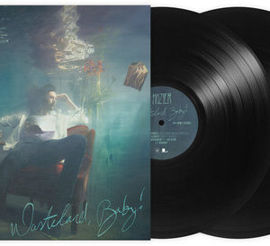 Hozier: Wasteland Baby (Vinyl LP)