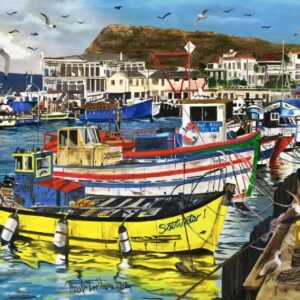 Kalk Bay Harbour (1000 Piece Puzzle)