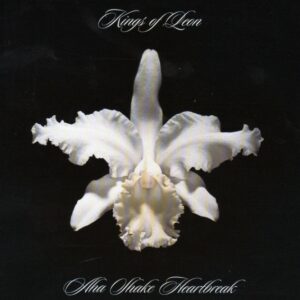 Kings of Leon: AHa Shake Heartbreak (CD)