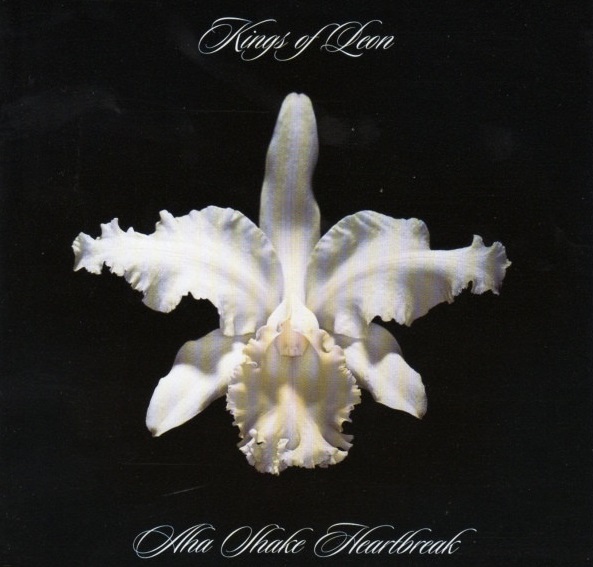 Kings of Leon: AHa Shake Heartbreak (CD)