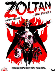 Zoltan: Hound of Dracula (aka Draculas Dog) (DVD)