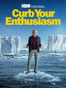 Curb Your Enthusiasm - Season 12 (DVD)