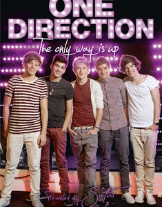 One Direction: The Only Way Is Up (DVD)