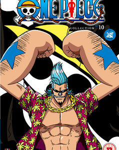 One Piece - Collection 10 (Episodes 230-252) (DVD)
