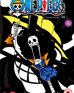One Piece - Collection 14 (Episodes 325-348) (DVD)