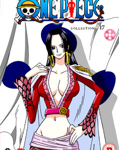 One Piece - Collection 17 (Episodes 394-421) (DVD)