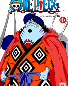One Piece - Collection 18 (Episodes 422-445) (DVD)