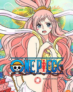 One Piece - Collection 22 (Episodes 517-540) (DVD)