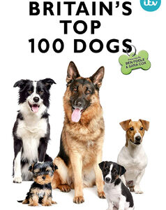 Britains Top 100 Dogs (DVD)