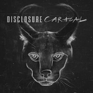 Disclosure: Caracal (CD)