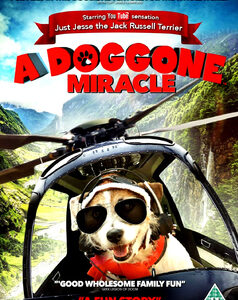 Doggone Miracle, A (Aka A Doggone Hollywood) (DVD)