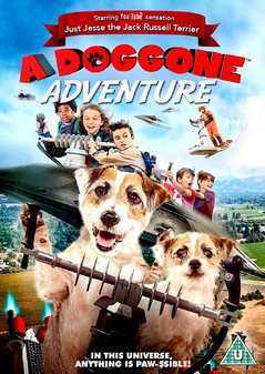 Doggone Adventure, A (DVD)