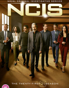 NCIS - Season 21 (DVD)