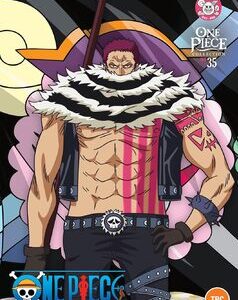 One Piece - Collection 35 (DVD)