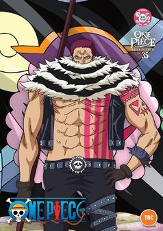 One Piece - Collection 35 (DVD)