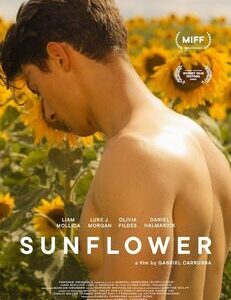 Sunflower (DVD)
