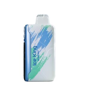 ELF Rechargeable Vape Bar Ice King - 25000, 50mg - Miami Mint (ELFA05)