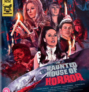 Haunted House of Horror (Blu-Ray)