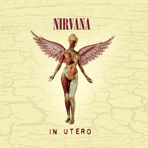 Nirvana: In Utero (20th Anniversary Edition) (CD)