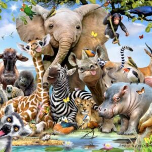 Kruger Park Selfie (501 Piece Widget Puzzle) (RGS8514)