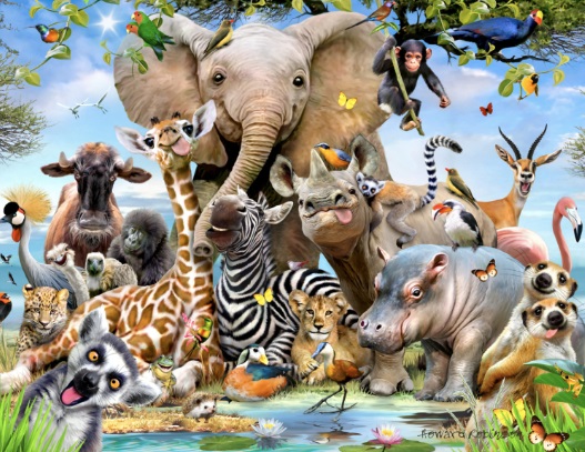 Kruger Park Selfie (501 Piece Widget Puzzle) (RGS8514)